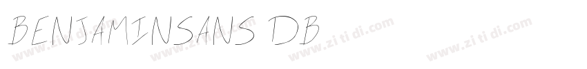 BenjaminSans DB字体转换